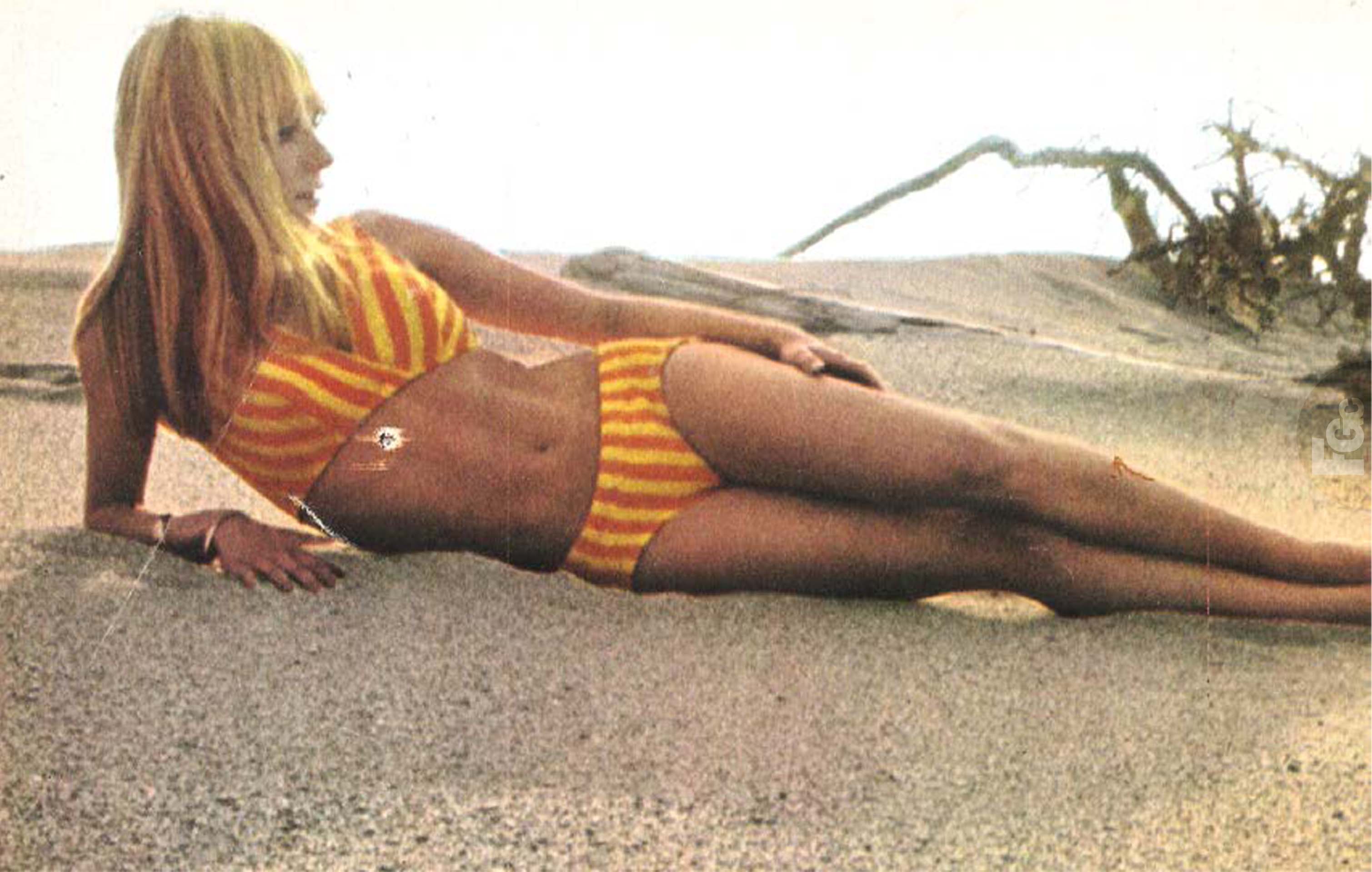 Revue Schnock n°59 France Gall Michel Berger été 2026 éditions La Tengo